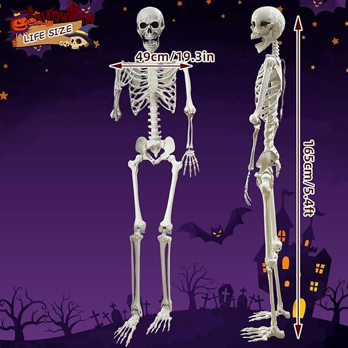 Lodou 5.4Ft Posable Life Size Human Adult Skeletons Plastic Human Bones with Movable Joints for Halloween Decoration