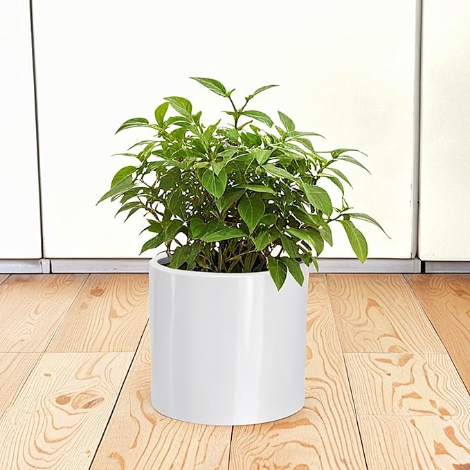 Fox & Fern 8 Inch Plant Pot with Drainage Plug — Premium Lightweight Fiberstone Glossy White Planter; Indoor & Outdoor Planter; 8 Inch Pots for Plants; Weather Resistant & UV Resistant