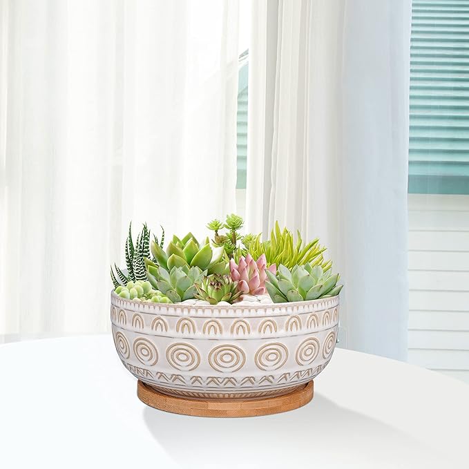 8 Inch Ceramic Succulent Planter Pot with Drainage Hole and Saucer Round Shallow Planter for Indoor Plants, White