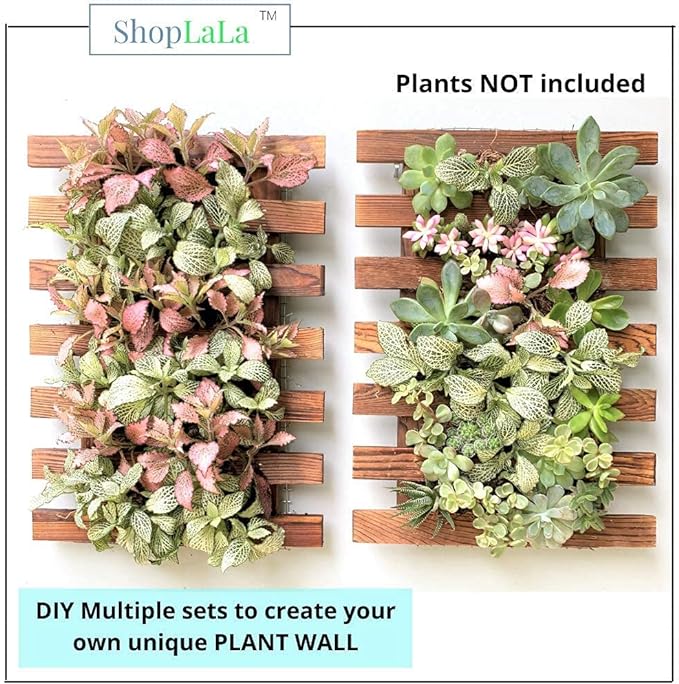 ShopLaLa Wall Planter - 2 Pack Wooden Orchid Planter Frame Display Outdoor Plants, Wall Mount Air Plants Succulent Holder Hanger, Vertical Garden Plant Wall Decor Macetas para Orquideas 15.7" (40cm)