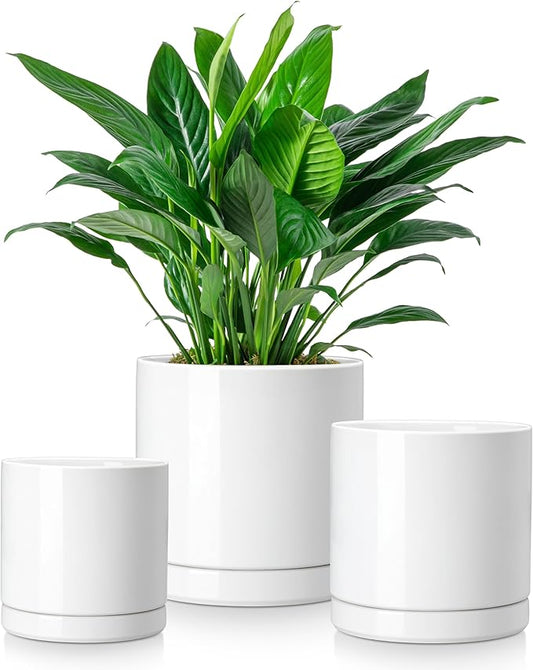 vancasso Ceramic Plant Pots, 3 Piece Planters for Indoor Plants, 4.25+5.25+6.25 Inch Flower Pots with Drainage, Plant Pots Indoor for Succulent, Pothos, Snake Plant and Money Tree, Etc (White)