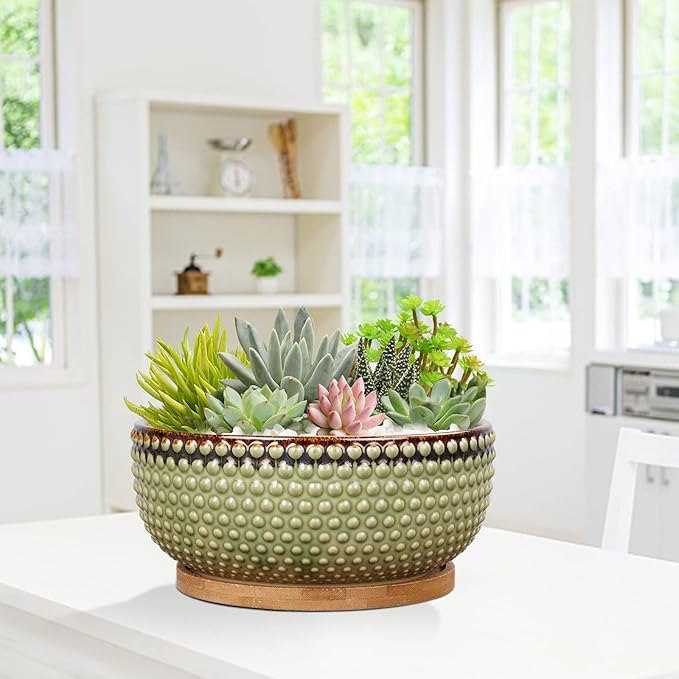 8 Inch Ceramic Succulent Shallow Planter Pot with Drainage Hole and Saucer Beaded Stoneware Planter for Indoor Plants Green