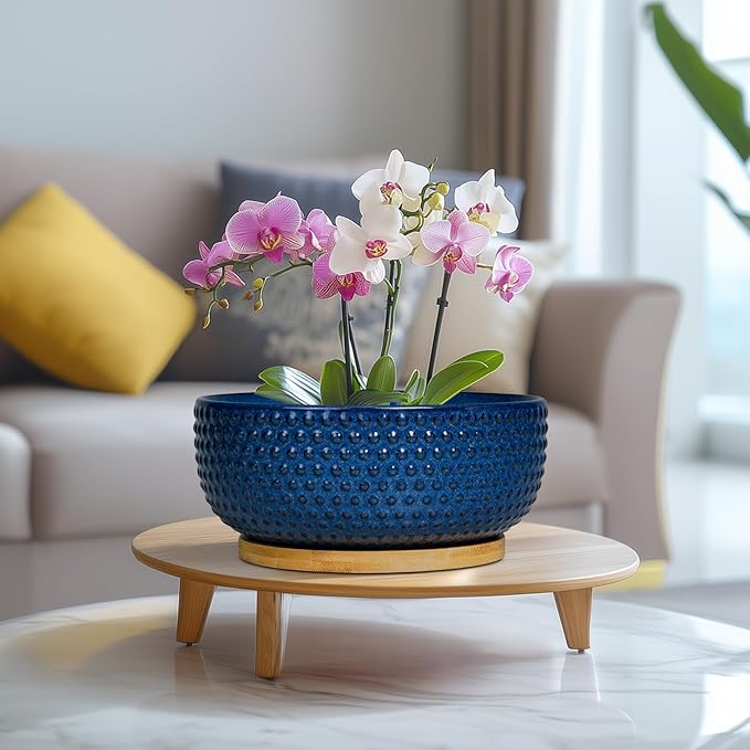 Bonsai Pots - 8 Inch Ceramic Pots for Succulent Plants & Bonsai Tree, Planter with Drainage Hole and Saucer, Modern Round Decorative Flower Planters, House Decor, GIFS for Women Man, Blue