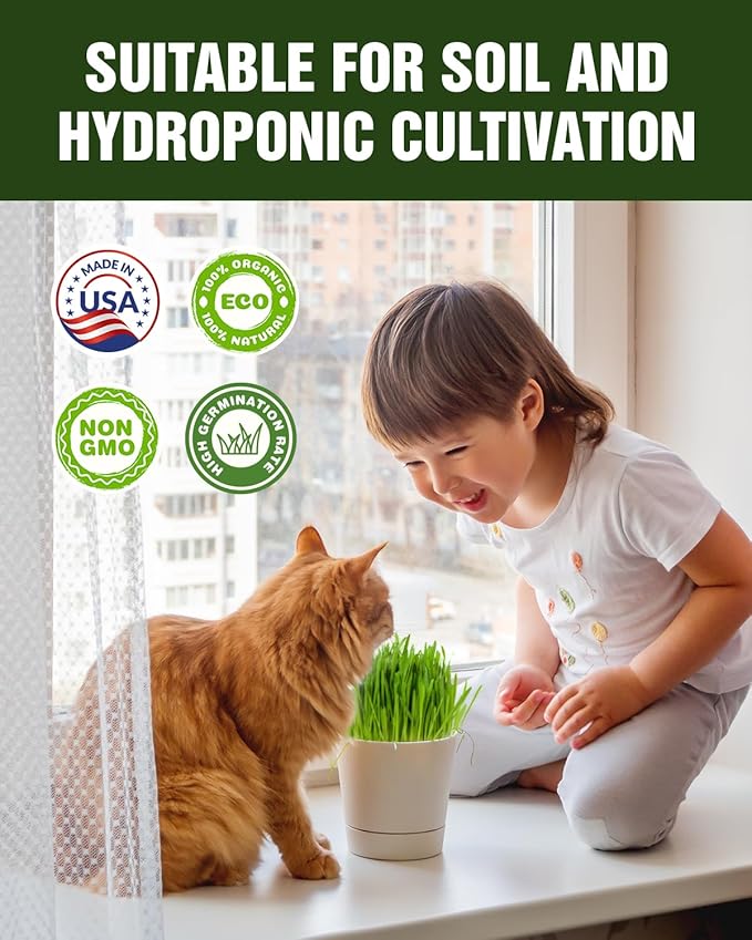 Organic Cat Grass & Catnip Seeds Kit – 3 Pack Oat & Barley Grass for Indoor Cats – Fast 7-Day Growth, High Germination, Hairball Control & Play – Pet-Safe Planting Set