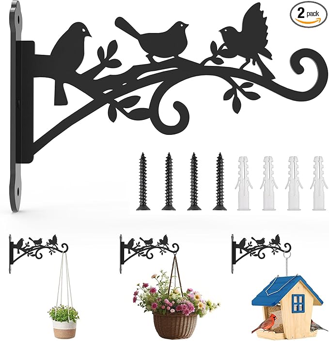 Metal Hanging Plant Bracket with Birdie Pattern 2 Pack – Heavy Duty Plant Hooks for Hanging Flower Baskets，Plants, Bird Feeder, Wind Chime - Indoor/Outdoor Use，Black Matte Texture (9 in)