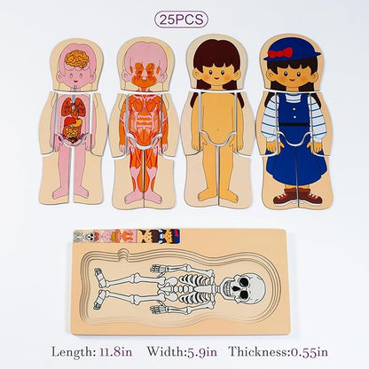 My Body Parts Puzzle for Toddlers Girls Boys Wooden Anatomy Puzzle 3-8 Years Old Preschool Learning Game Human Body Skeleton Toys