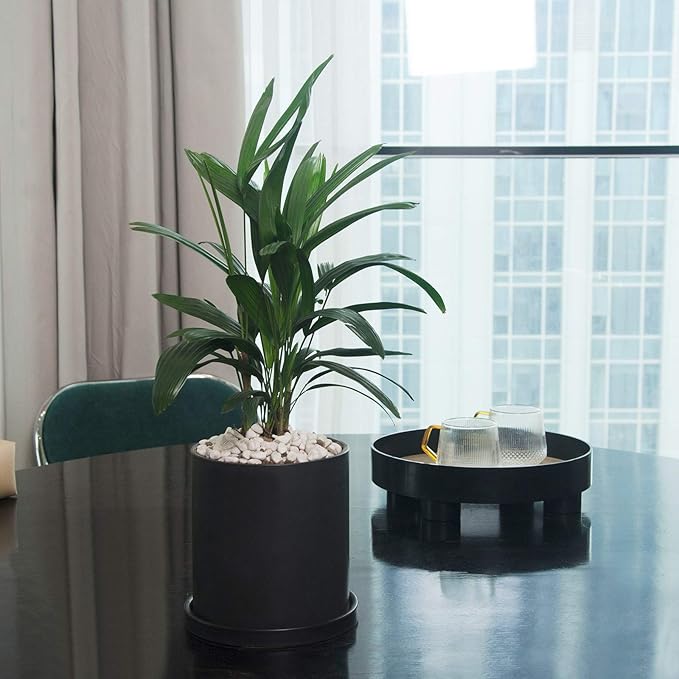 Planters for Indoor Plants Ceramic Flower Succulent Plant Pots with Drain Hole Saucer Decor for Home Office (5 inch Black)