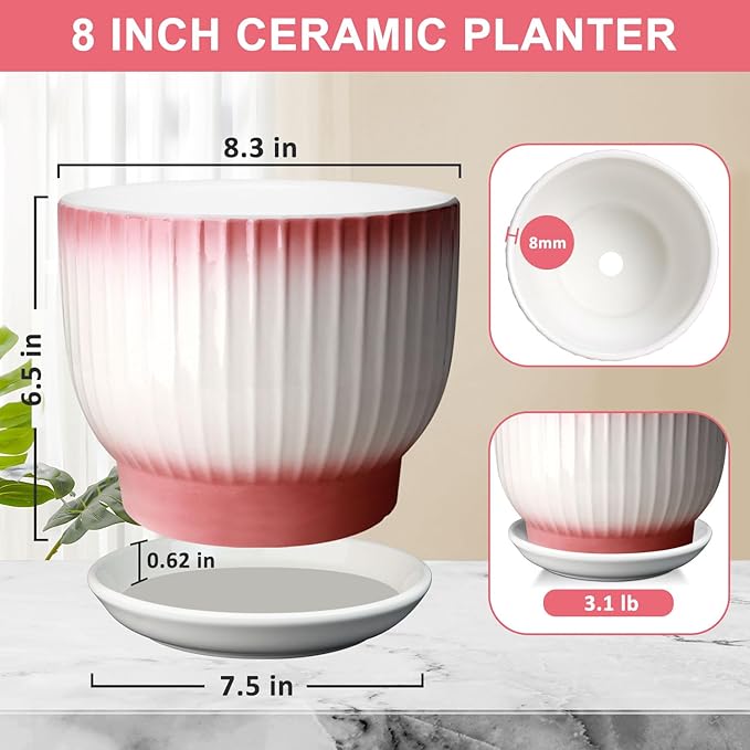 8 Inch Plant Pot, Ceramic Planter with Drainage and Saucer, Ceramic Pots for Plants, Indoor Plant pots,Ceramic Flower pots(Pink + White, Plants NOT Included)
