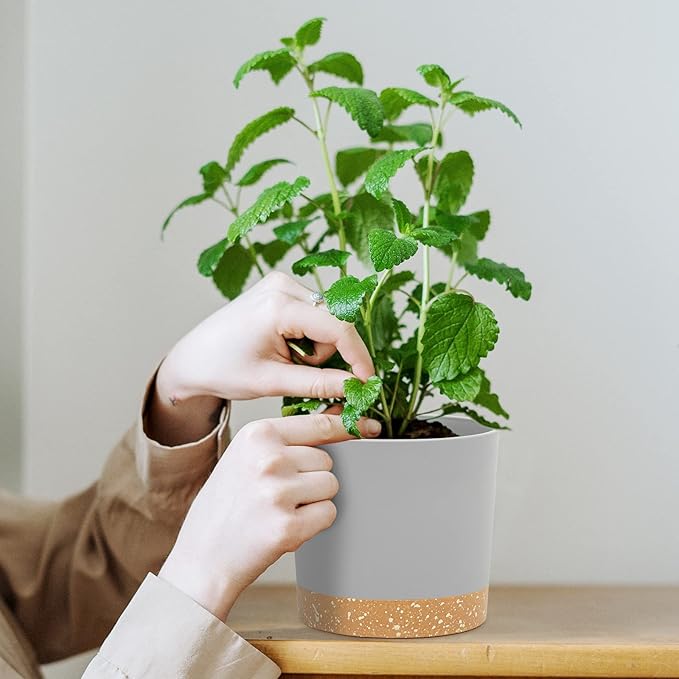 QCQHDU 5 inch Plant Pot, 2 Pack Planters for Indoor Plants with Drainage Holes & Saucer, Outdoor Flower Pots Home Garden Modern Decor