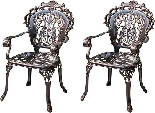 Outdoor Dining Chair Cast Aluminum Patio Chairs Set of 2 All-Weather Patio Dining Chair with Adjustable Feet for Backyard Garden (B-Style Finland Chair)