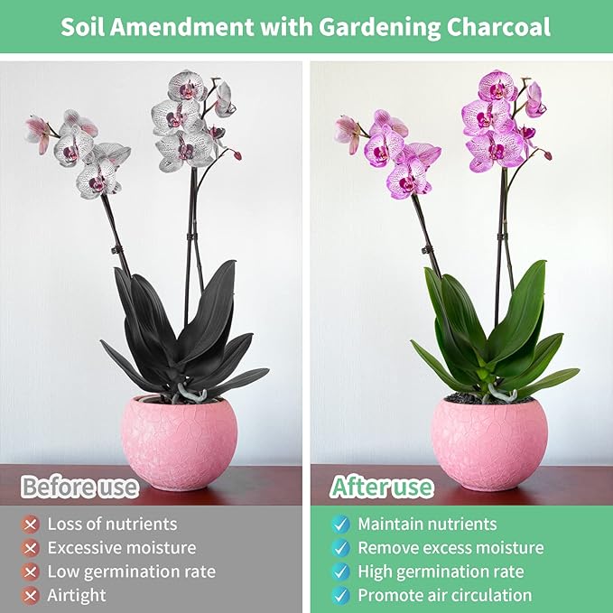 Legigo 10QT All Natural Horticultural Charcoal- Activated Hardwood Plant Charcoal for Soil Amendment, Conditioning Bonsai Soil, Succulent Soil, Terrarium Supplies, Indoor Plant Potting Soil