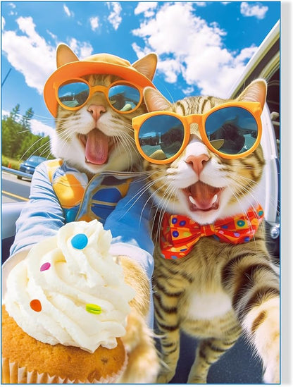 500 Pieces Jigsaw Puzzles for Adults and Teens and Kids Family Happy Gift Idea Cats Selfie (Cats' Selfie)