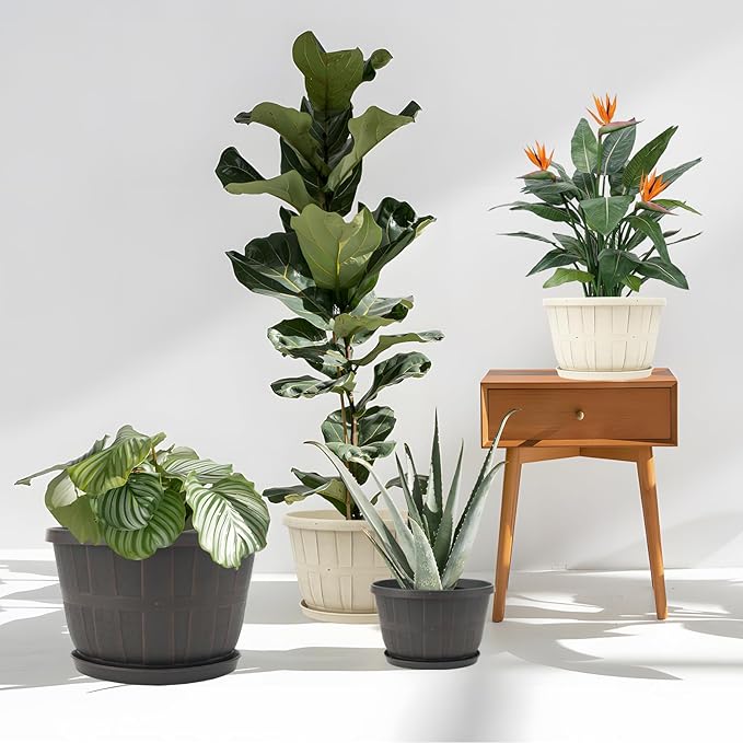 Quarut 12 Inch Large Planter Pot for Plants Indoor Outdoor, 4 Pack Plastic Flower Pots with Drainage Hole & Tray, Modern Decorative Garden Pot with Saucer, Plant Container for House（Beige）