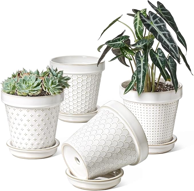 LE TAUCI Ceramic Plant Pots, Cute Succulent Pots with Saucer, 6 Inch Flower Pots with Drainage, for Plant Lover or Mothers Day,Housewarming, Decorative Lovely Planter for Cactus, Set of 4