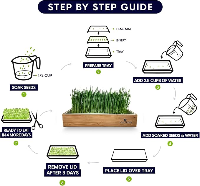 Self-Watering Cat Grass Kit. Hands Down The Easiest Way to Grow Cat Grass. Everything Included to Grow a Large Crop of Delicious Cat Grass.