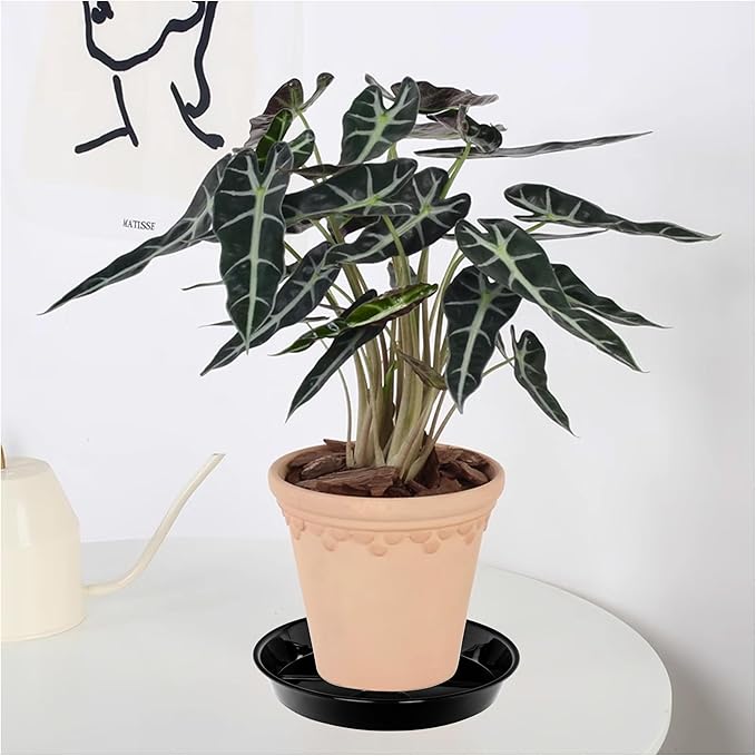 15 Pack Plant Saucer Drip Tray, 6 8 10 inch, Heavy Sturdy Plastic Planter Flower Pot Saucers for Indoor Outdoor Garden, Plant Water Drip Trays for pots Base (6"/8"/10", Black)