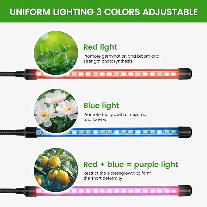 Clip Grow Light for Indoor Plants, Red Blue Spectrum Plant Growing Lamp with 3 Switch Modes,10-Level Dimmable,Auto ON & Off,3/9/12H Timer,Adjustable Gooseneck,580 Lumen,Input Volateg 5W