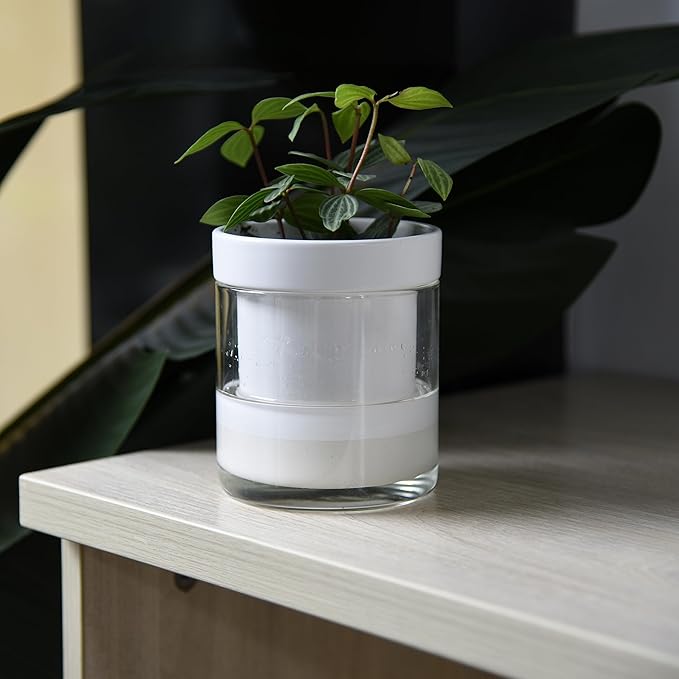 Phoenix Vine 4 Inch Self Watering Planter, White Terracotta Clay Pot with Glass Reservoir for Indoor Plants, Herbs, Flowers, Set of 1, 52-B-E-1