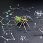 Mechanical Metal DIY 3D Insect Brass Puzzle (Gatling Spider)