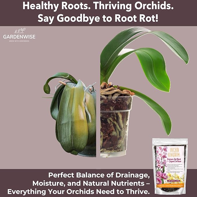 Orchid Potting Mix – Orchid Bark, Sphagnum Moss, Tree Fern & Perlite for Repotting Phalaenopsis Orchids, Indoor Plants, Orchid Soil Medium – Sustrato para Orquídeas (1 Quart)