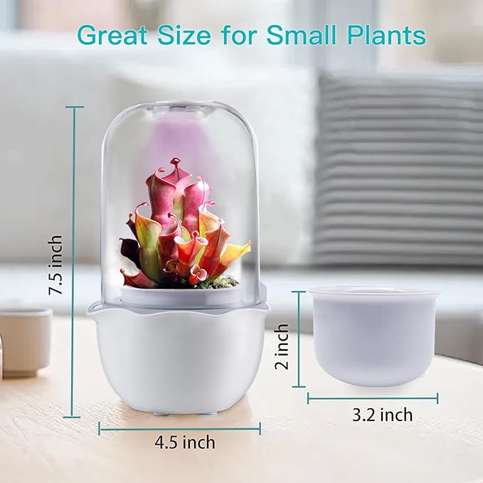 Venus Fly Trap Pot,Smart Planter with Timer and Fan,Small Terrarium Kit with Light and Drainage Hole for Carnivorous Plant,Succulent,Sundew Moss,Cactus,Pitcher(No Plant)