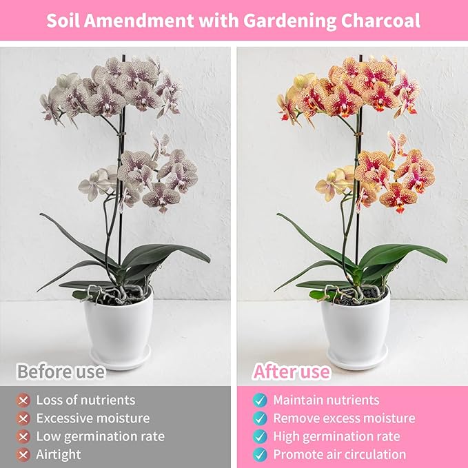 Legigo 12QT All Natural Horticultural Charcoal- Activated Hardwood Plant Charcoal for Soil Amendment, Conditioning Bonsai Soil, Succulent Soil, Terrarium Supplies, Indoor Plant Potting Soil