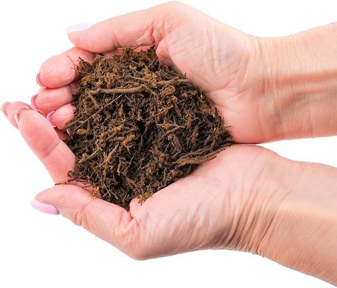 Premium New Zealand Tree Fern by GARDENERA - 20 Quart - Orchid and Epiphytal Plants Growing Medium and Reptile Substrate (4 Bags of 5 Quart)