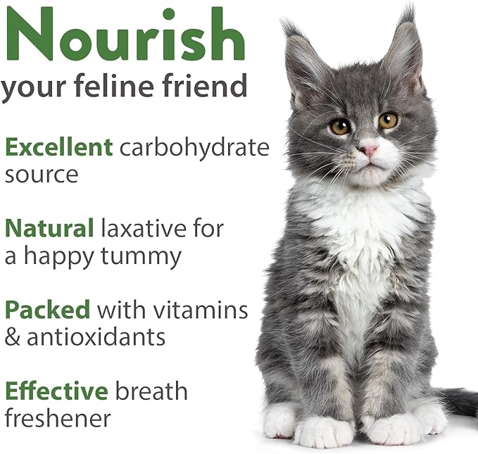 HOME GROWN 3 Cat Grass Seed Mix – Non-GMO Heirloom Oat, Alfalfa & Cat Grass Seeds | Indoor Pet Grass for Cats | High-Germination Greens for Hairball Control, Digestion, and Chewing Enrichment