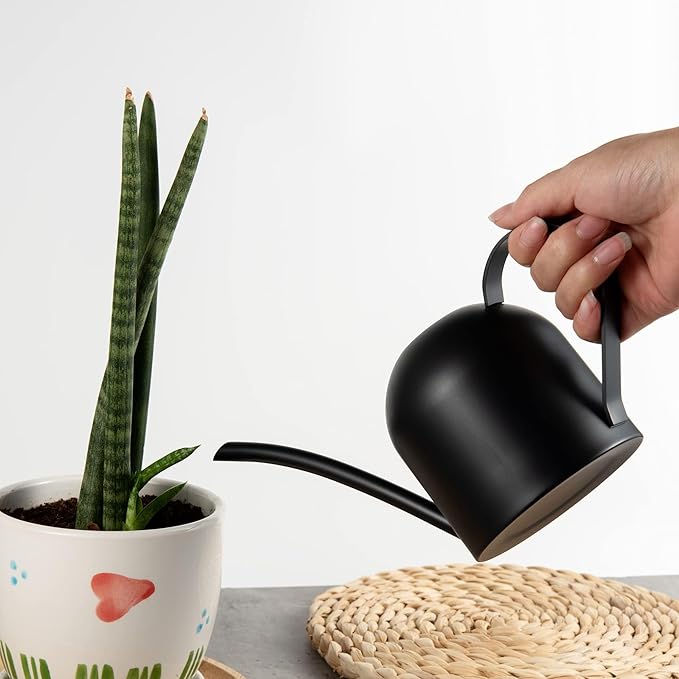 IMEEA Small Watering Can for Indoor Plants Stainless Steel Watering Can with Long Spout 15oz/450ml, (Black)