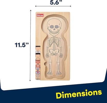 Kidzlane Wooden My Body Puzzle for Toddler - 5-Layer Girl Anatomy Puzzle - Real Wood - Multicolor - Educational Human Body Toy for Kids - BPA Free - Educational Toys
