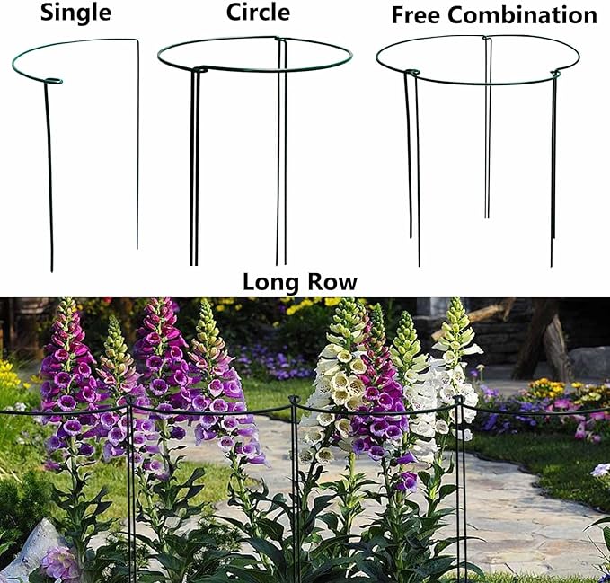 TCBWFY 24" Hx12 D Plant Supports Stakes for Large Heavy Plants,6 Pack Peony Supports,Heavy Duty 5mm Wire Peony Cages,Interlock Garden Supports Ring Border Support,Plant Support Cage for Rose Flowers