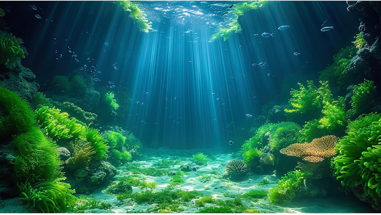 Aquarium Background Aquatic Plants Soft Algae Terrarium Backdrop Underwater World Fish Rock with Moss Sunlight Rays Fish Tank Background Aquarium Wallpaper Poster Decor Vinyl 48x18in