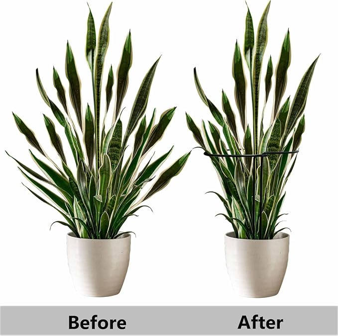 TCBWFY 24" Hx12 D Plant Supports Stakes for Large Heavy Plants,6 Pack Peony Supports,Heavy Duty 5mm Wire Peony Cages,Interlock Garden Supports Ring Border Support,Plant Support Cage for Rose Flowers