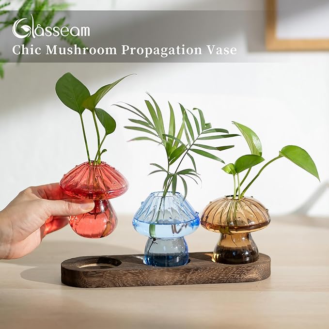 Glasseam Mushroom Plant Propagation Station: Glass Plant Terrarium Jar with Wood Stand Unique Hydroponic Planters for Indoor Plants Cute Propagation Vase for Plant Lovers Home Office Decor 3Pcs