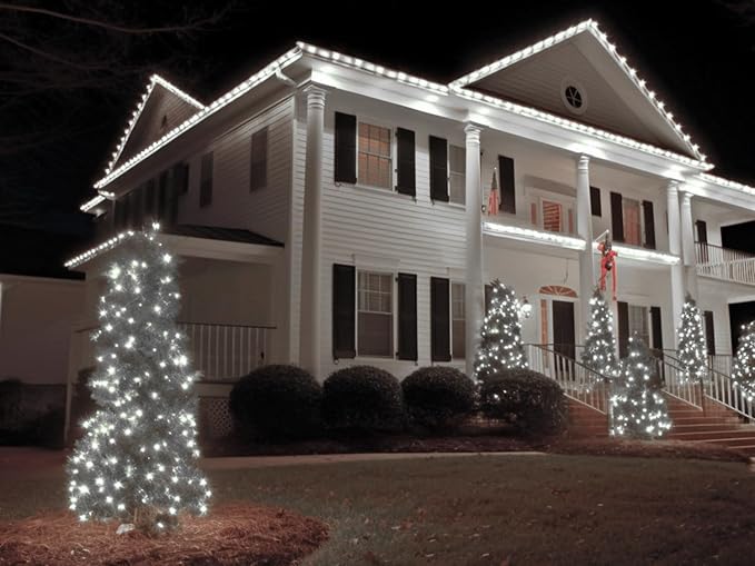 LED Rope Lights for Outside 20Ft Waterproof Led Rope Lighting 86 LEDs 110V 8 Modes Remote Control Timer Led Strip Light for Indoor Outdoor Party Holiday Garden Decoration (White)