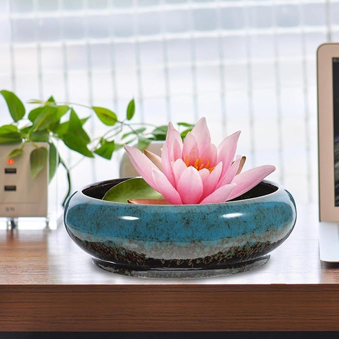 Happyyami Plant Pot Hydroponic Plant Succulent Pots Ceramic Round Decorative Bowl Hydroponic Water Lily Planter Pot for Flowers Succulent Table Centerpiece (Random Color) Indoor Plant Pots