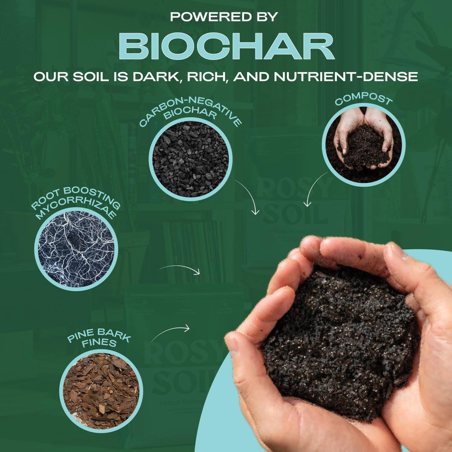 Rosy Soil Indoor Potting Soil for House Plants - Organic Potting Soil Mix for Indoor Plants - Enriched w/Root-Boosting Biochar for Foliage Plants, Flowers, Herbs - Peat Free, Less Prone to Gnats - 4qt