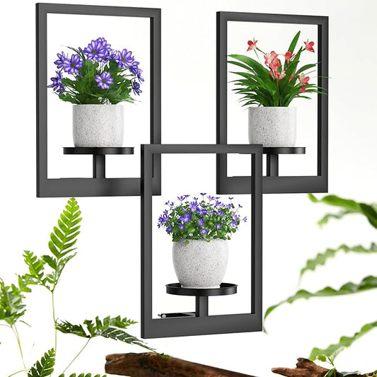 Picture Frame Wall Plant Holder, Metal Window Plant Shelves Plant Holder for Indoor Plants, Hanging Wall Planters Wall-Mounted Plant for Home, Office, and Garden (Black, 3PCS)