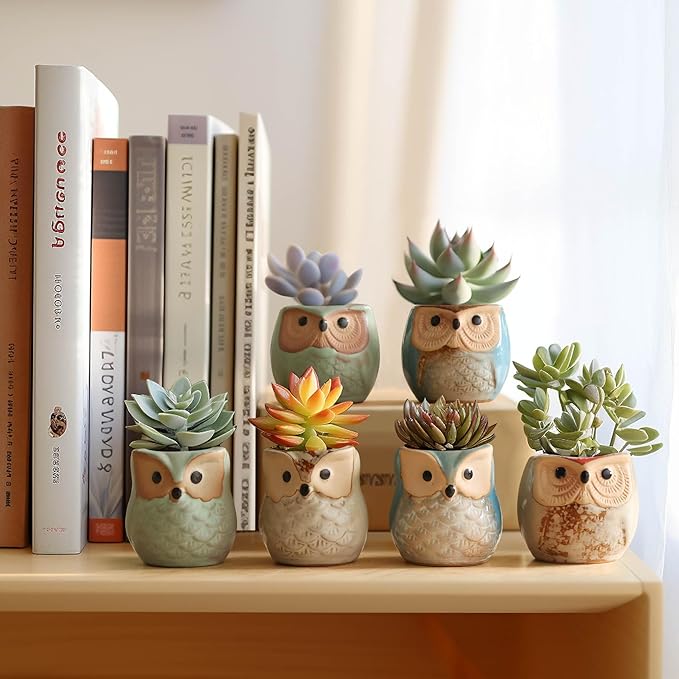 T4U 2.5 Inch Owl Ceramic Succulent Planter Pots with Drainage Hole Set of 6, Small Cute Flower Pots Plant Holder Container Best for Home Office Garden Decoration Owl Gift Ideas