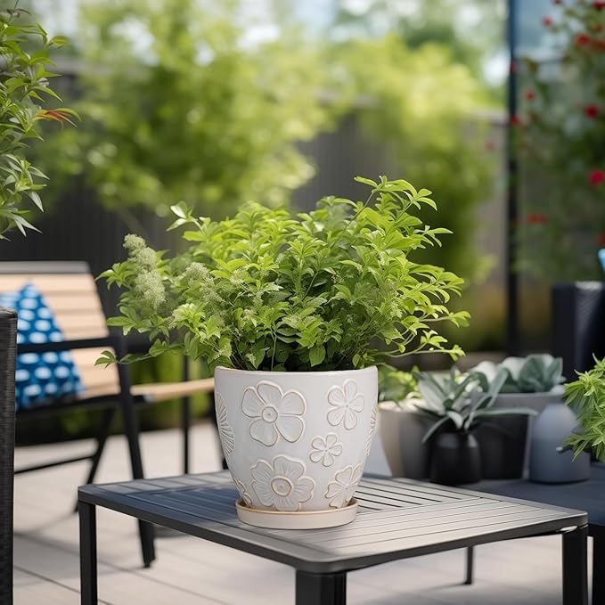 6 Inch Plant Pot with Drainage Hole and Saucer Ceramic Planter for Indoor Plant Flower Pot for Orchid Succulents Plants White