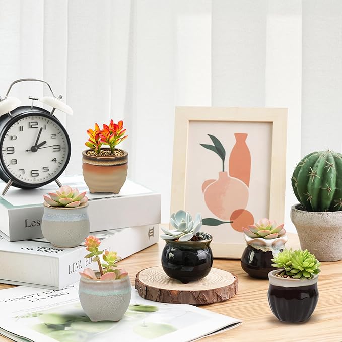 T4U Small Ceramic Succulent Pots with Drainage Set of 6, Mini Pots for Plants, Plant Lover Gifts for Women, Tiny Air Plant Flower Pots Cactus Faux Plants Containers, Home and Office Decor