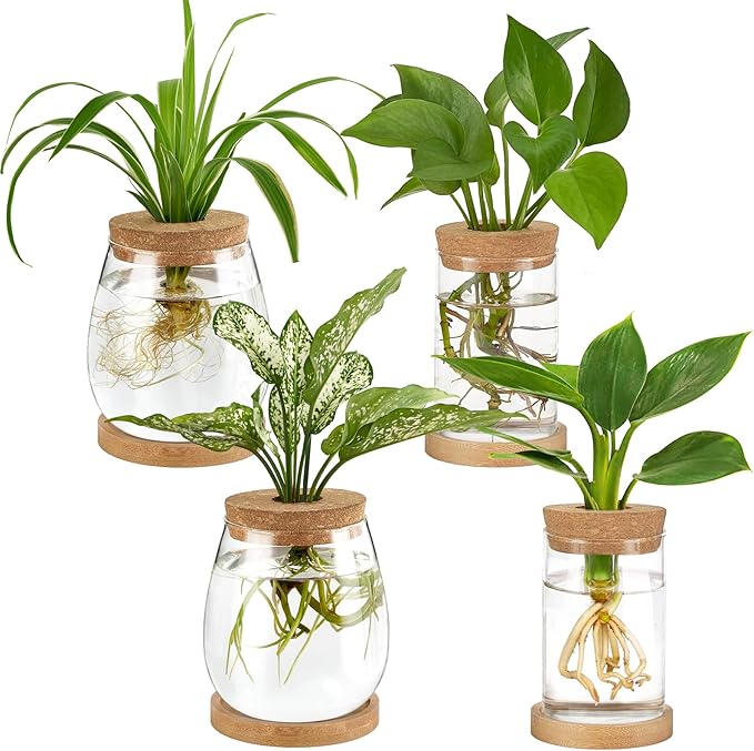 Dahey 4 Pcs Plant Propagation Stations Desktop Propagated Plant Jars Terrarium Glass Planters with Wooden Base and Lid Hydroponic Vase for Indoor Plants Tabletop Home Office Decor