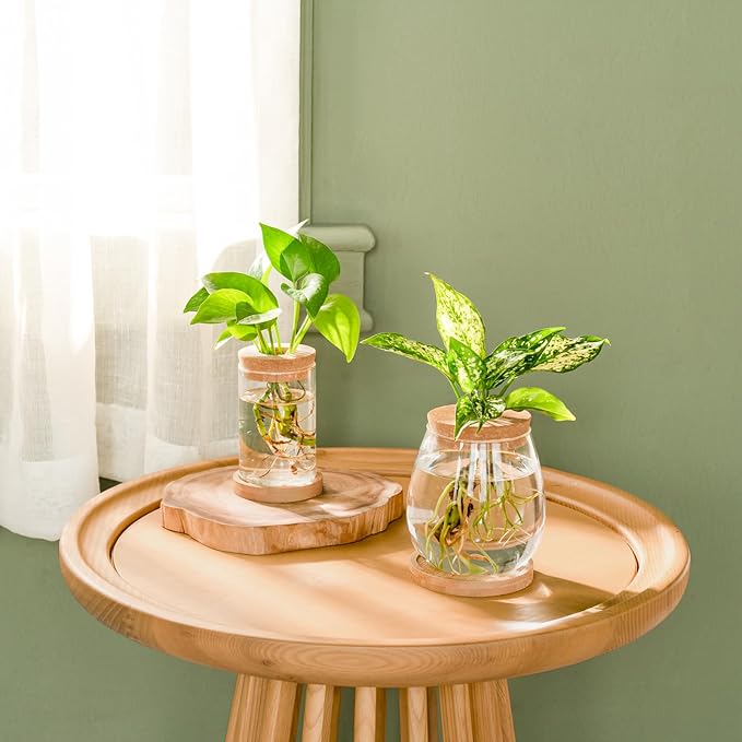 Dahey 4 Pcs Plant Propagation Stations Desktop Propagated Plant Jars Terrarium Glass Planters with Wooden Base and Lid Hydroponic Vase for Indoor Plants Tabletop Home Office Decor