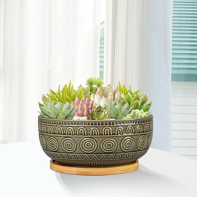8 Inch Ceramic Succulent Planter Pot with Drainage Hole and Saucer Round Shallow Planter for Indoor Plants, Gray-Green