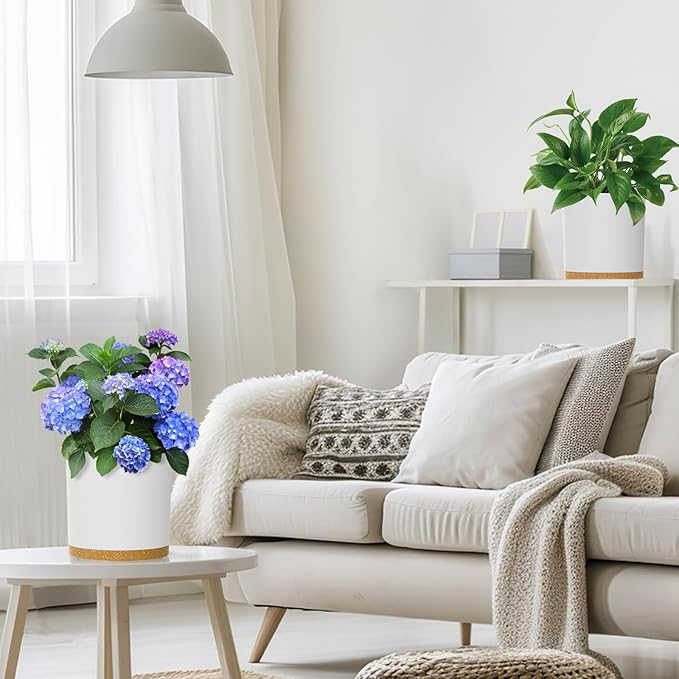 8 Inch Cylinder Flower Pots for Indoor Outdoor Plants, Medium Deep Plant Pots with Drainage Holes & Saucer, Decorative Plastic Planter Pots for Garden House Plants, White with Brown