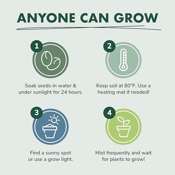 Cactus Succulent Seed Starter Kit - Indoor Garden Grow Kits, Seeds for Planting Mini Cactus Succulent Plants, Plant Markers, Soil, Pots, Wood Box - Fathers Day Gardening Gifts