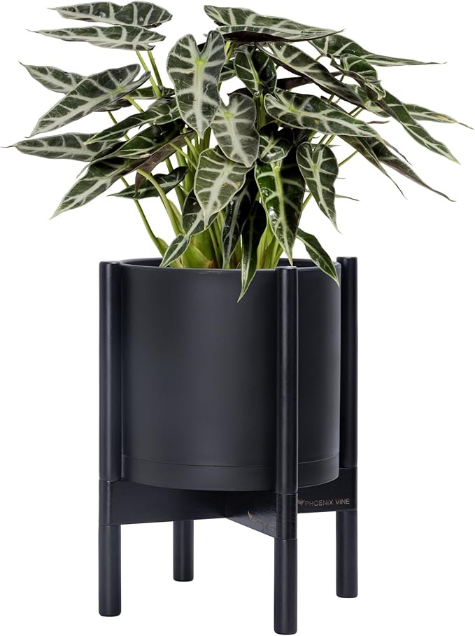 D'vine Dev Planter Pot with Stand - 10 Inch Plastic Cylinder Flower Pot with Wood Planter Holder for Indoor, Matte Black Pot + Ebony Stand, 55-C-N-2