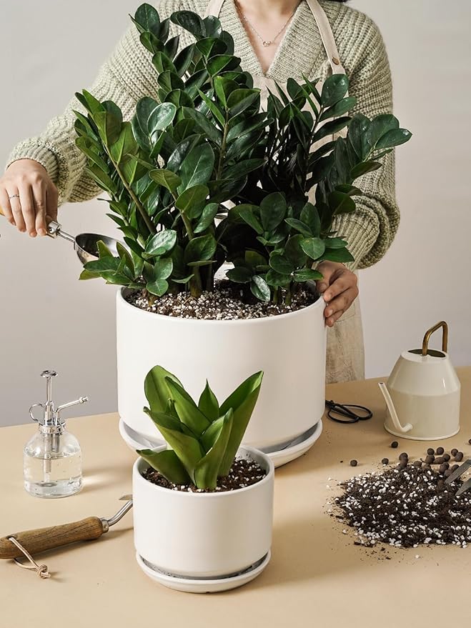 LE TAUCI Ceramic Plant Pots, 10 + 12 Inch Pots for Plants, Indoor Plant Pots for Home and Office, Modern Flower Pots Fit Mid Century Plant Stand, Planters with Drainage Holes and Saucers, White