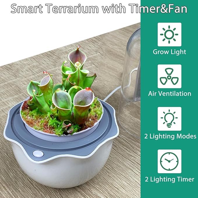 Venus Fly Trap Pot,Smart Planter with Timer and Fan,Small Terrarium Kit with Light and Drainage Hole for Carnivorous Plant,Succulent,Sundew Moss,Cactus,Pitcher(No Plant)