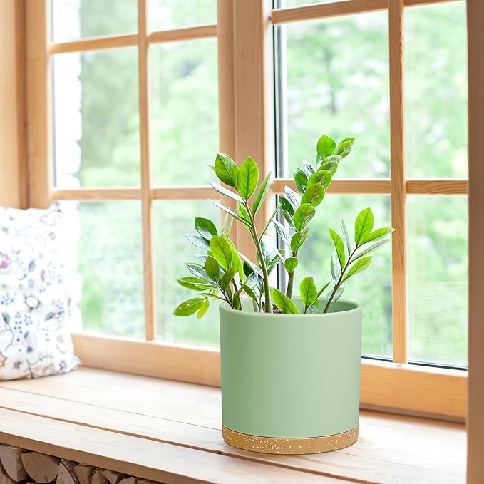 8 Inch Medium Flower Pots for Indoor Outdoor Plants, Cylinder Deep Plant Pots with Drainage Holes & Saucer, Decorative Plastic Planter Pots for Garden House Plants, Green with Brown